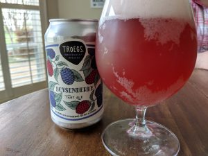 Troes Boysenberry Tart ale in glass, next to beer can.
