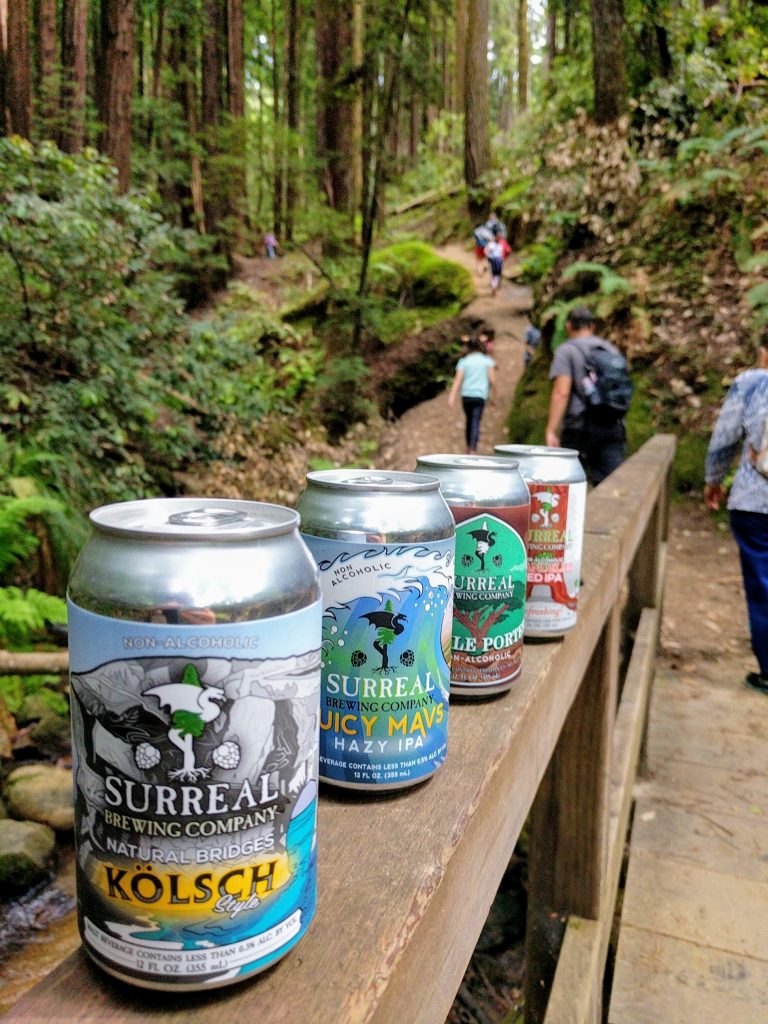 Cans of Surreal beers lined up on a railing on a hiking trail in the forest.