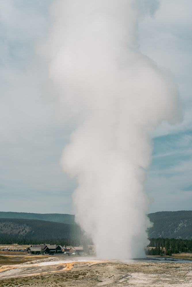 Giantess geyser, Yellowstone National Park