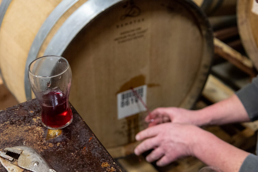 Ted Rosenzweig pulling a sample of sour beet beer out of a barrel.