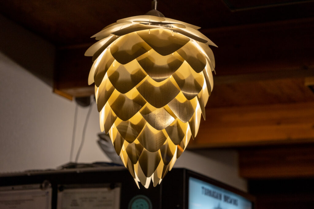 Lamp hanging over the bar at Turnagain Brewing. The lamp looks like a hop cone.